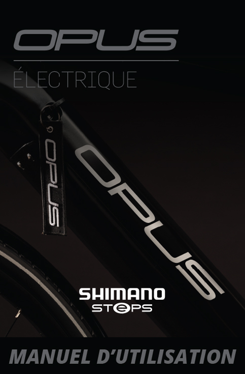ebike START GUIDE SHIMANO integrated cover fr